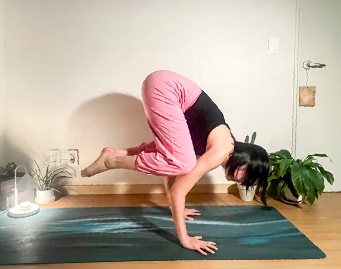 바카사나 (학 자세)